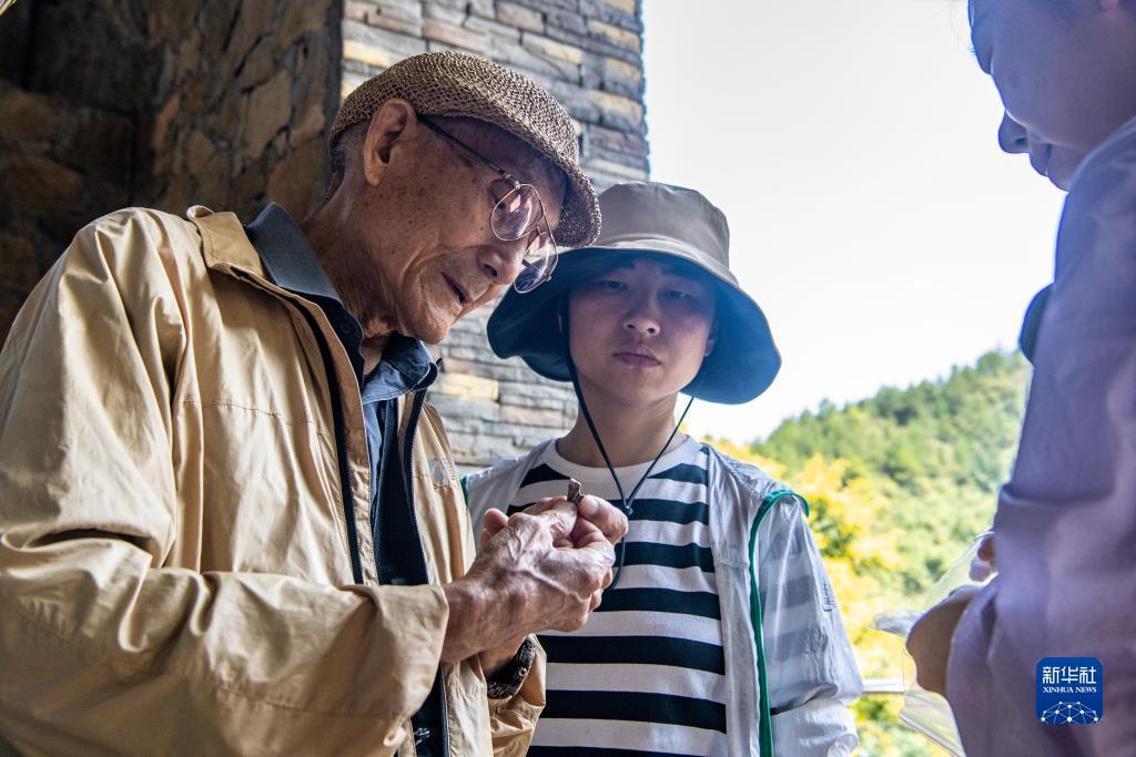 赢现金的手游