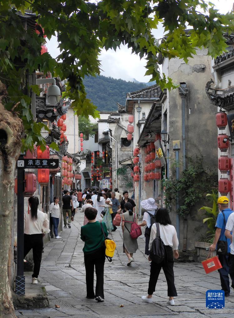 九州的网址登不上